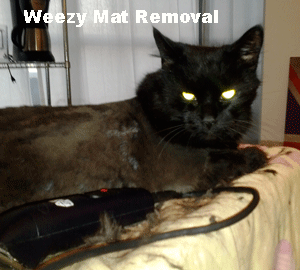 Weezy Mat Removal